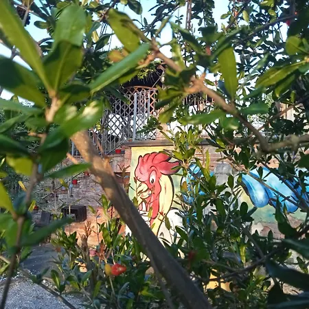 Bric Di Gai Appartement Monforte dʼAlba