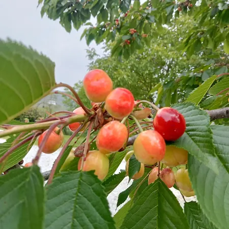 Appartamento Bric Di Gai Monforte dʼAlba